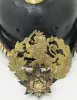 Hessen 25th Field Artillery Officers Pickelhaube Visuel 9